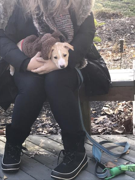 /Images/uploads/Congregation Beth Emeth/bethemeth/entries/17634thumb.jpg